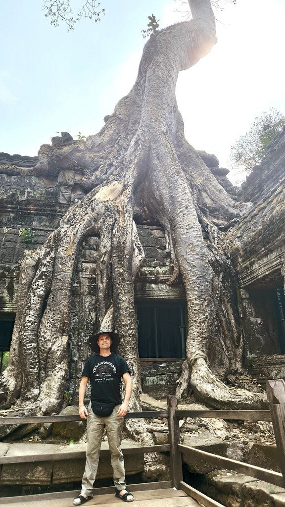 Milton frente a las enormes raíces de un árbol en el templo de Ta Prohm, Camboya.